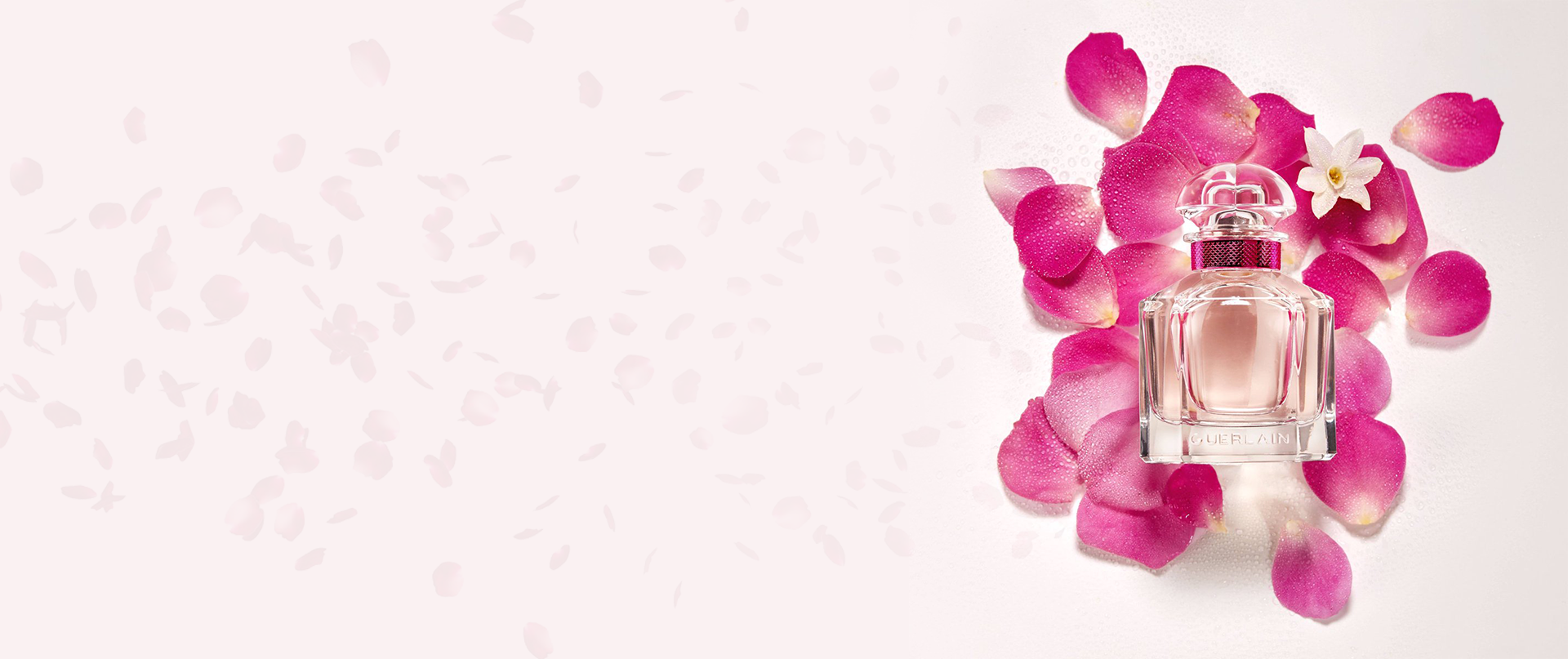 Tutku & Kokunun Mükemmel Dengesi